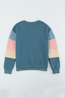 Color Block Round Neck Long Sleeve Sweatshirt